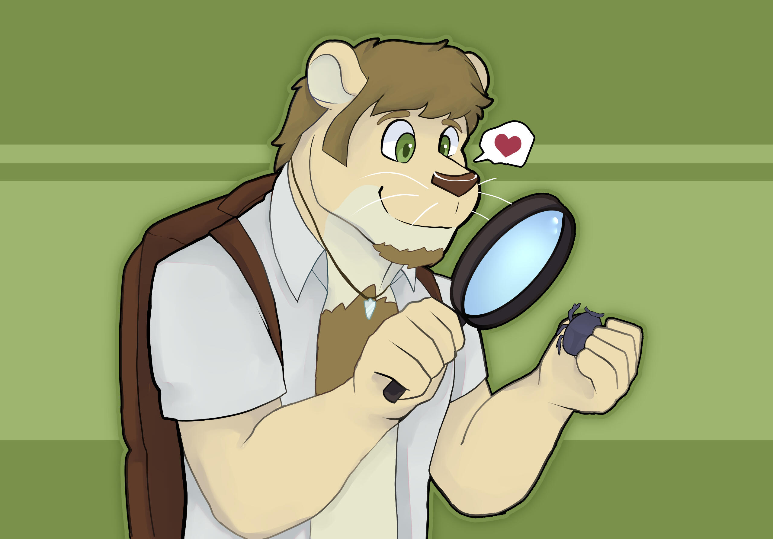 AndeanBear