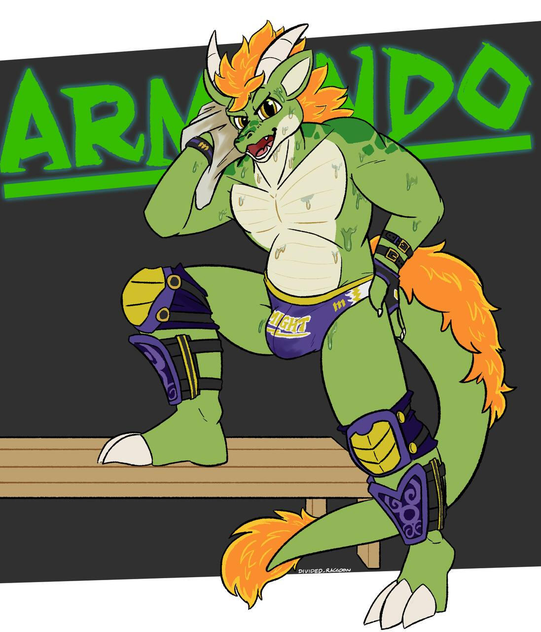 DividedRaccoon