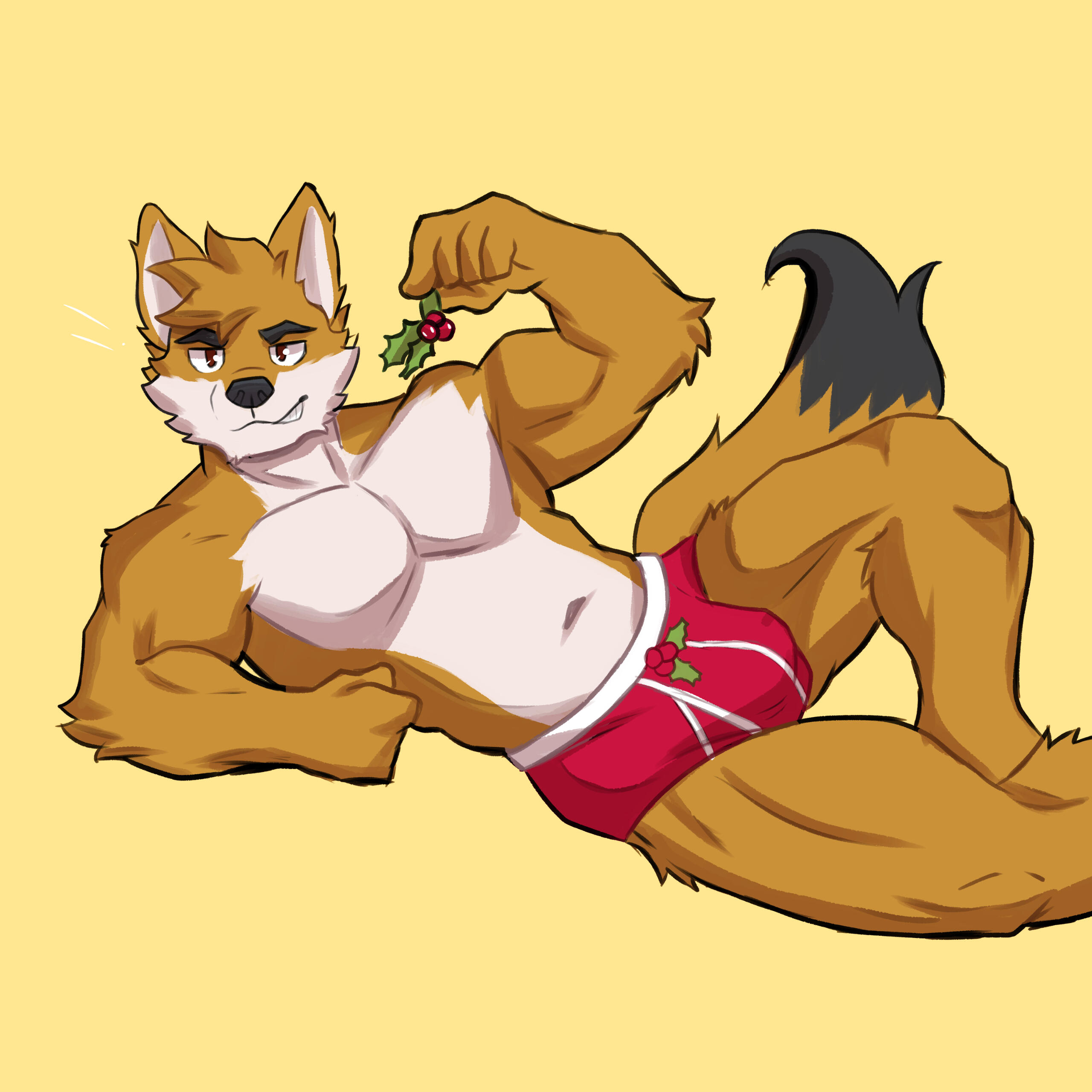 FansyFennec
